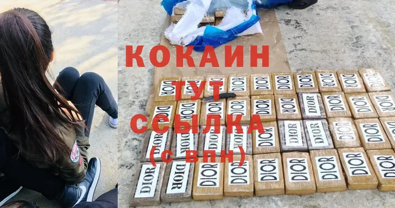 Cocaine FishScale  сколько стоит  Сертолово 